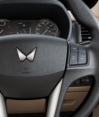 Cruise Control buttons