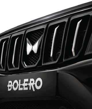 Bold New Grille