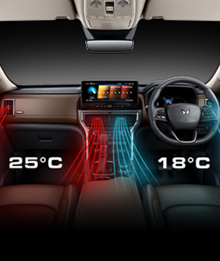 Dual Zone Climate Control