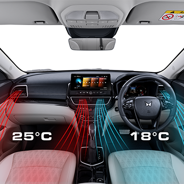 Dual Zone Climate Control